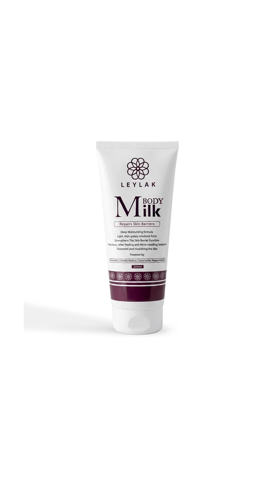 Main Product