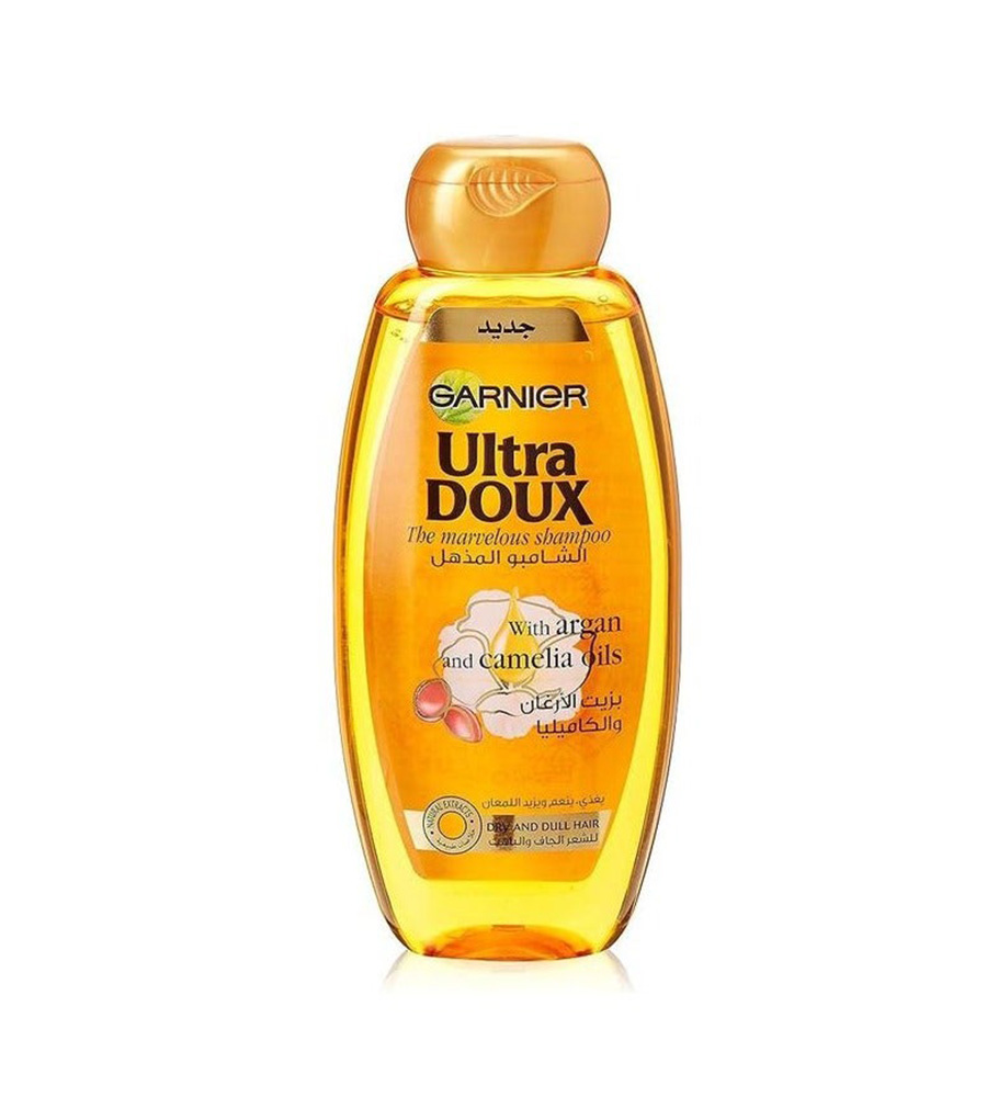 Garnier Shampoo 300ml